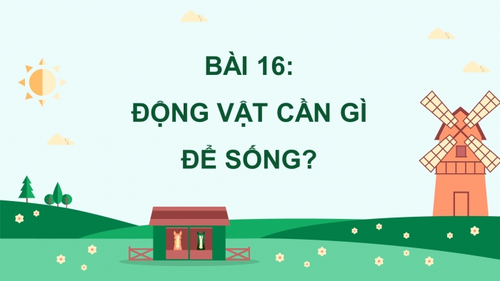 Giáo án điện tử Khoa học 4 kết nối Bài 16: Động vật cần gì để sống?