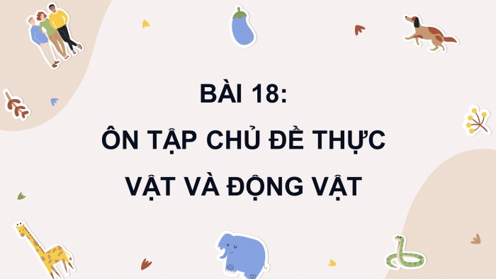 Giáo án điện tử Khoa học 4 chân trời Bài 18: Ôn tập chủ đề Thực vật và động vật