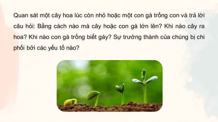 Giáo án điện tử Sinh học 11 chân trời Bài 19: Khái quát về sinh trưởng và phát triển ở sinh vật