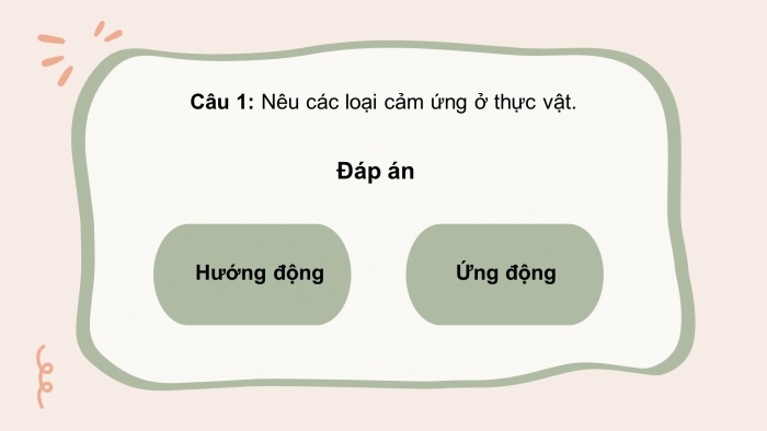 Giáo án điện tử Sinh học 11 chân trời: Ôn tập Chương 2