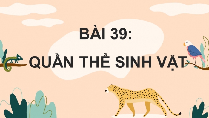 Giáo án điện tử KHTN 8 cánh diều Bài 39: Quần thể sinh vật