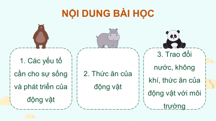 Giáo án điện tử Khoa học 4 kết nối Bài 16: Động vật cần gì để sống?