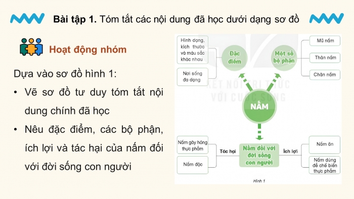 Giáo án điện tử Khoa học 4 kết nối Bài 22: Ôn tập chủ đề năm