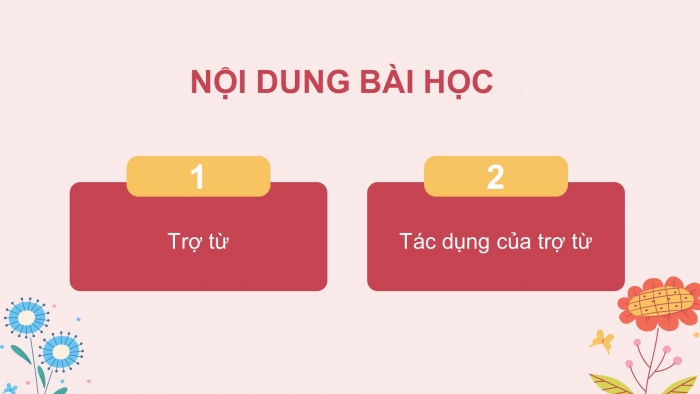 Giáo án điện tử Ngữ văn 8 kết nối Bài 6 : Thực hành tiếng Việt trang 14