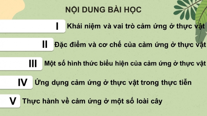 Giáo án điện tử Sinh học 11 cánh diều Bài 12: Cảm ứng ở thực vật (P1)