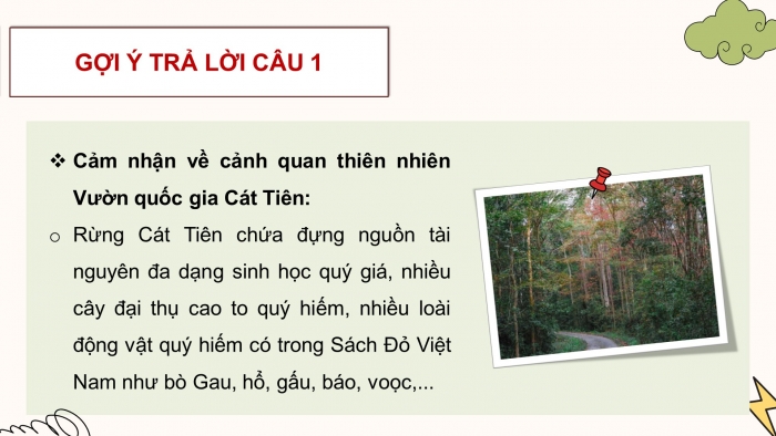 Giáo án điện tử HĐTN 11 chân trời (bản 2) Chủ đề 6: Bảo vệ môi trường và bảo tồn cảnh quan thiên nhiên (P1)