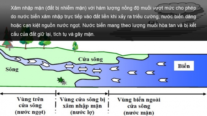 Giáo án điện tử Địa lí 8 chân trời Bài 9: Tác động của biến đổi khí hậu đối với khí hậu và thủy văn Việt Nam