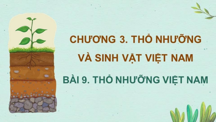 Giáo án điện tử Địa lí 8 cánh diều Bài 9: Thổ nhưỡng Việt Nam