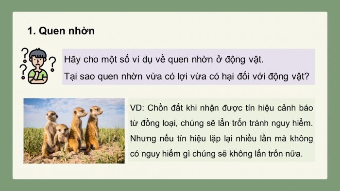 Giáo án điện tử Sinh học 11 chân trời Bài 18: Tập tính ở động vật (P2)