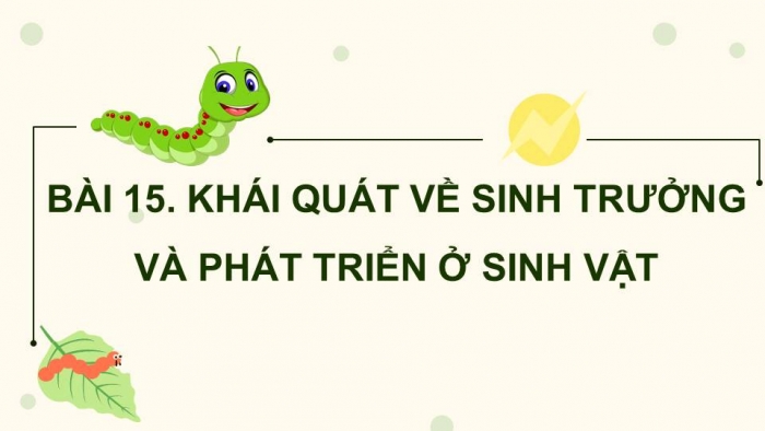 Giáo án điện tử Sinh học 11 cánh diều Bài 15: Khái quát về sinh trưởng và phát triển ở sinh vật