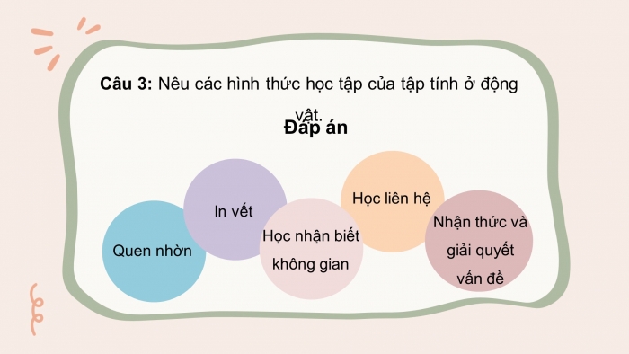 Giáo án điện tử Sinh học 11 chân trời: Ôn tập Chương 2