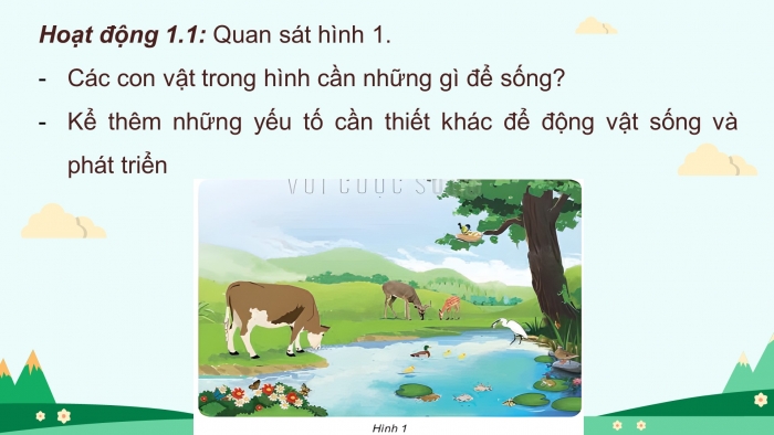 Giáo án điện tử Khoa học 4 kết nối Bài 16: Động vật cần gì để sống?