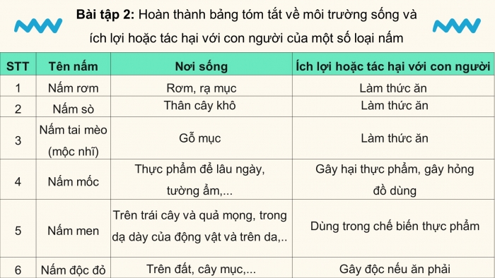 Giáo án điện tử Khoa học 4 kết nối Bài 22: Ôn tập chủ đề năm