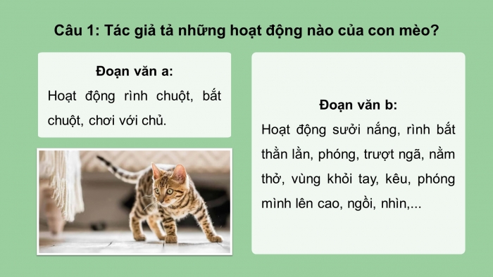 Giáo án điện tử Tiếng Việt 4 cánh diều Bài 14 Viết 2: Luyện tập tả con vật