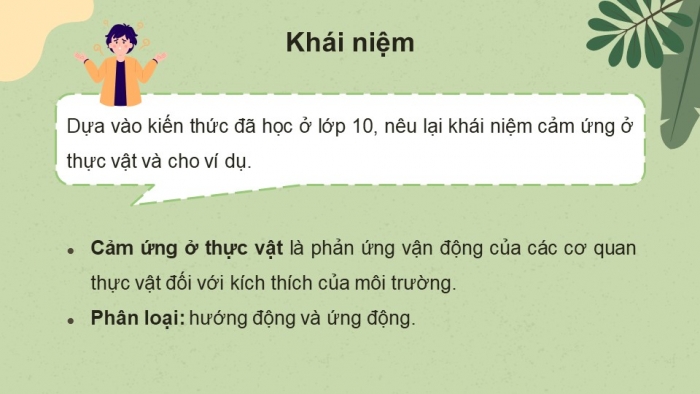 Giáo án điện tử Sinh học 11 cánh diều Bài 12: Cảm ứng ở thực vật (P1)