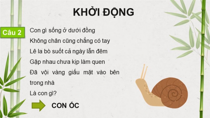 Giáo án điện tử Tiếng Việt 4 kết nối Bài 8 Đọc: Trên khóm tre đầu ngõ 