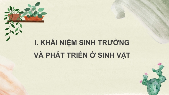 Giáo án điện tử Sinh học 11 chân trời Bài 19: Khái quát về sinh trưởng và phát triển ở sinh vật