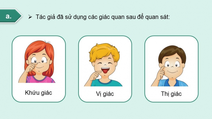 Giáo án điện tử Tiếng Việt 4 chân trời CĐ 5 Bài 2 Viết: Quan sát, tìm ý cho bài văn miêu tả cây cối