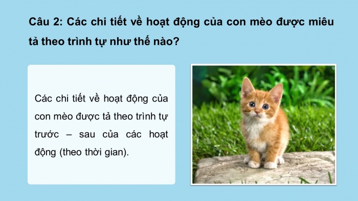 Giáo án điện tử Tiếng Việt 4 cánh diều Bài 14 Viết 2: Luyện tập tả con vật