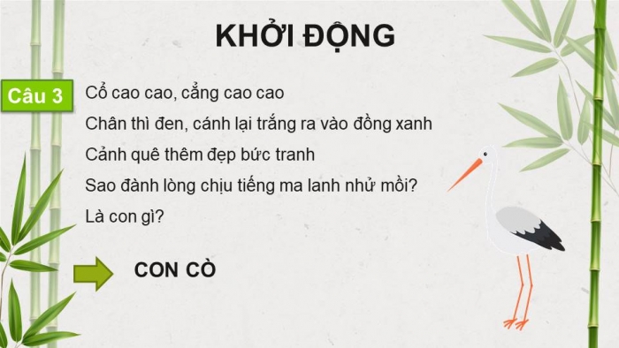 Giáo án điện tử Tiếng Việt 4 kết nối Bài 8 Đọc: Trên khóm tre đầu ngõ 