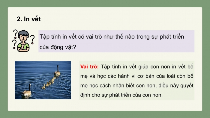 Giáo án điện tử Sinh học 11 chân trời Bài 18: Tập tính ở động vật (P2)