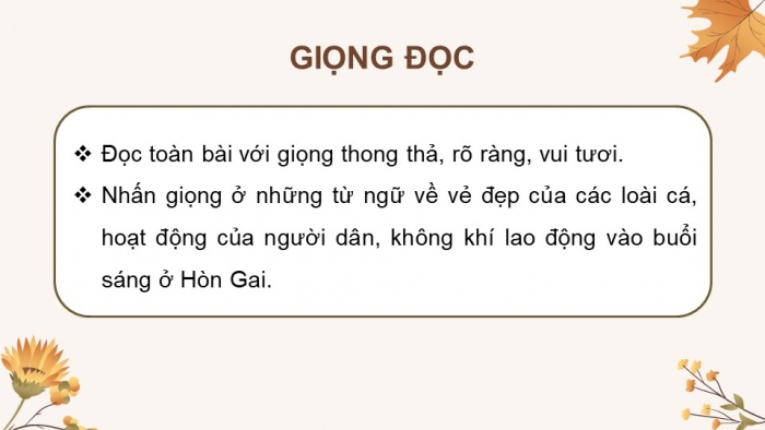 Giáo án điện tử Tiếng Việt 4 chân trời CĐ 6 Bài 4 Đọc: Buổi sáng ở Hòn Gai
