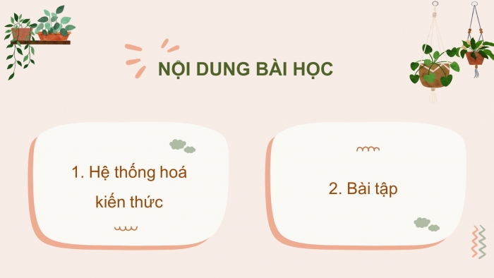 Giáo án điện tử Sinh học 11 chân trời: Ôn tập Chương 2