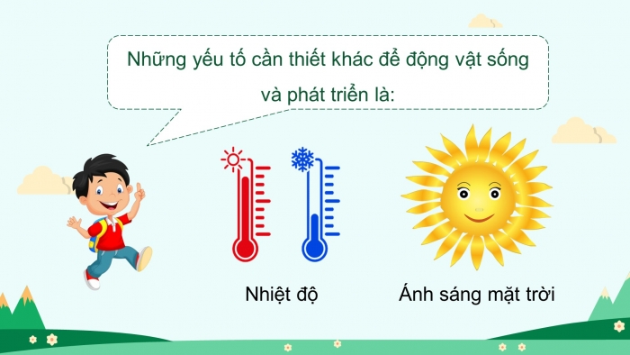 Giáo án điện tử Khoa học 4 kết nối Bài 16: Động vật cần gì để sống?