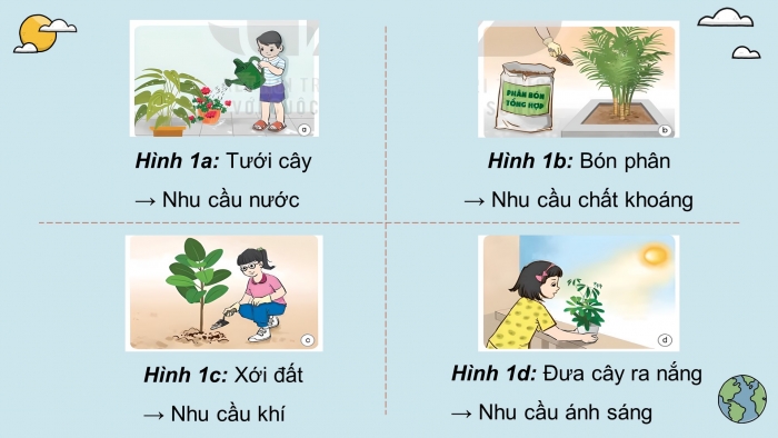 Giáo án điện tử Khoa học 4 kết nối Bài 17: Chăm sóc cây trồng, vật nuôi