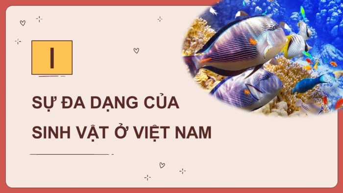 Giáo án điện tử Địa lí 8 cánh diều Bài 10: Đặc điểm chung của sinh vật và vấn đề bảo tồn đa dạng sinh học ở Việt Nam