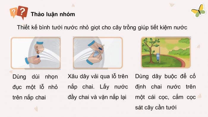 Giáo án điện tử Khoa học 4 chân trời Bài 18: Ôn tập chủ đề Thực vật và động vật