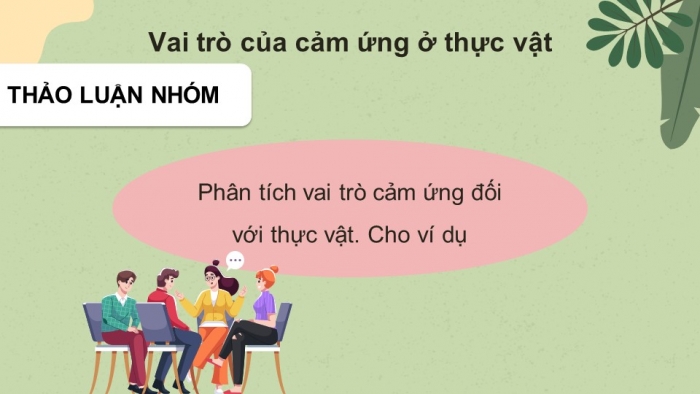 Giáo án điện tử Sinh học 11 cánh diều Bài 12: Cảm ứng ở thực vật (P1)