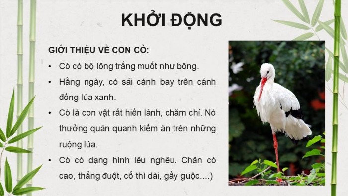 Giáo án điện tử Tiếng Việt 4 kết nối Bài 8 Đọc: Trên khóm tre đầu ngõ 
