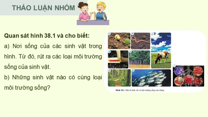 Giáo án điện tử KHTN 8 cánh diều Bài 38: Môi trường và các nhân tố sinh thái