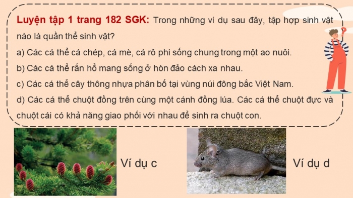 Giáo án điện tử KHTN 8 cánh diều Bài 39: Quần thể sinh vật