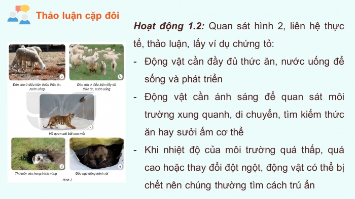 Giáo án điện tử Khoa học 4 kết nối Bài 16: Động vật cần gì để sống?