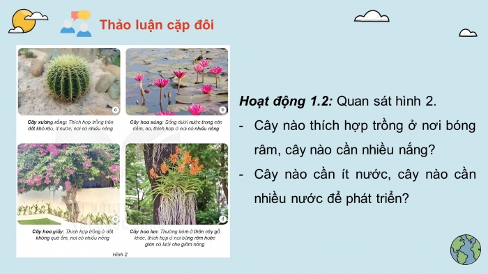 Giáo án điện tử Khoa học 4 kết nối Bài 17: Chăm sóc cây trồng, vật nuôi