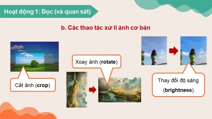 Giáo án điện tử Tin học 8 chân trời Bài 8b: Xử lí ảnh