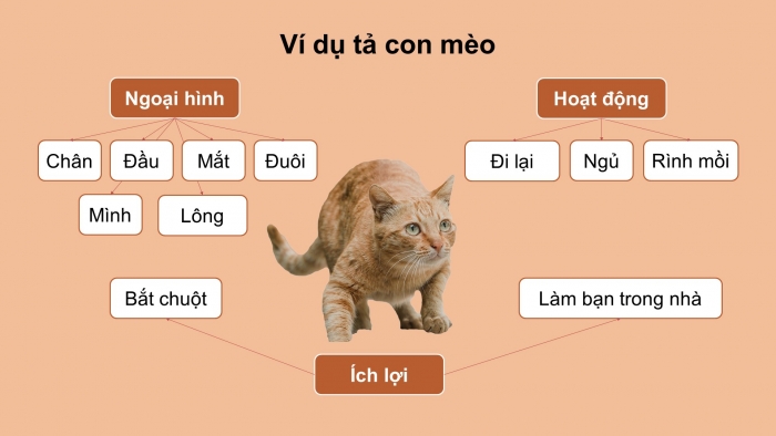 Giáo án điện tử Tiếng Việt 4 cánh diều Bài 13 Viết 1: Luyện tập tả con vật
