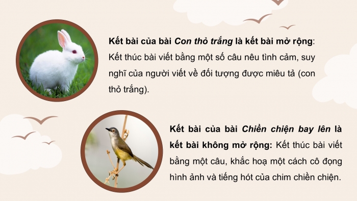 Giáo án điện tử Tiếng Việt 4 cánh diều Bài 13 Viết 3: Luyện tập tả con vật