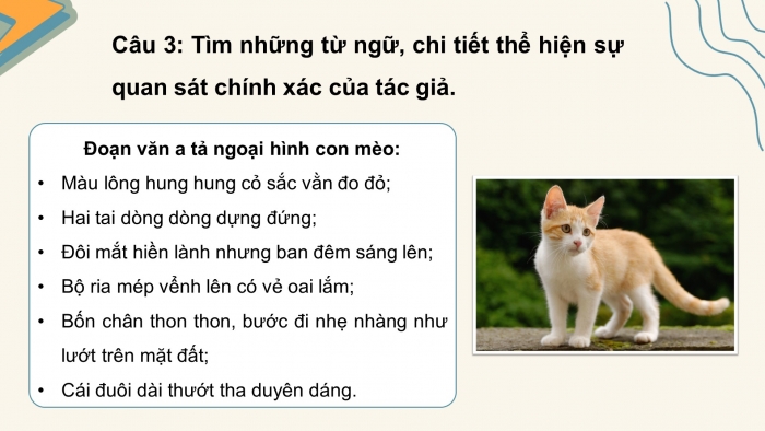 Giáo án điện tử Tiếng Việt 4 cánh diều Bài 14 Viết 1: Luyện tập tả con vật