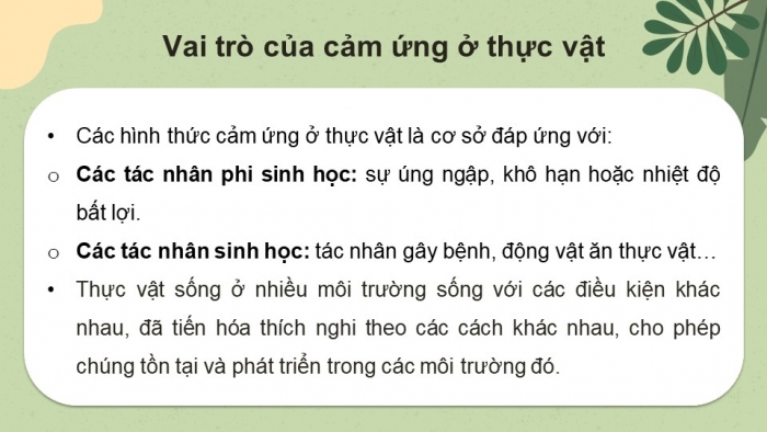 Giáo án điện tử Sinh học 11 cánh diều Bài 12: Cảm ứng ở thực vật (P1)