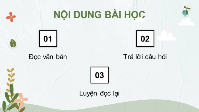 Giáo án điện tử Tiếng Việt 4 kết nối Bài 13 Đọc: Vườn của ông tôi