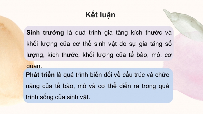 Giáo án điện tử Sinh học 11 chân trời Bài 19: Khái quát về sinh trưởng và phát triển ở sinh vật