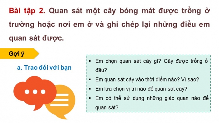 Giáo án điện tử Tiếng Việt 4 chân trời CĐ 5 Bài 2 Viết: Quan sát, tìm ý cho bài văn miêu tả cây cối