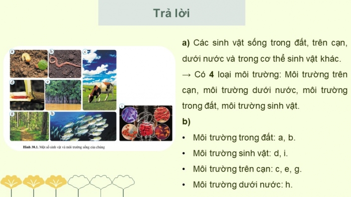 Giáo án điện tử KHTN 8 cánh diều Bài 38: Môi trường và các nhân tố sinh thái