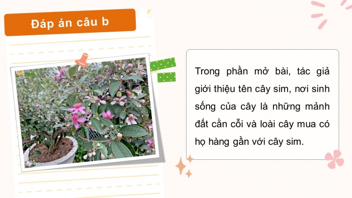 Giáo án điện tử Tiếng Việt 4 kết nối Bài 17 Viết: Tìm hiểu cách viết bài văn miêu tả cây cối