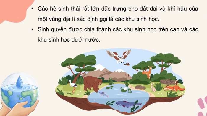 Giáo án điện tử KHTN 8 cánh diều Bài 43: Khái quát về sinh quyển và các khu sinh học