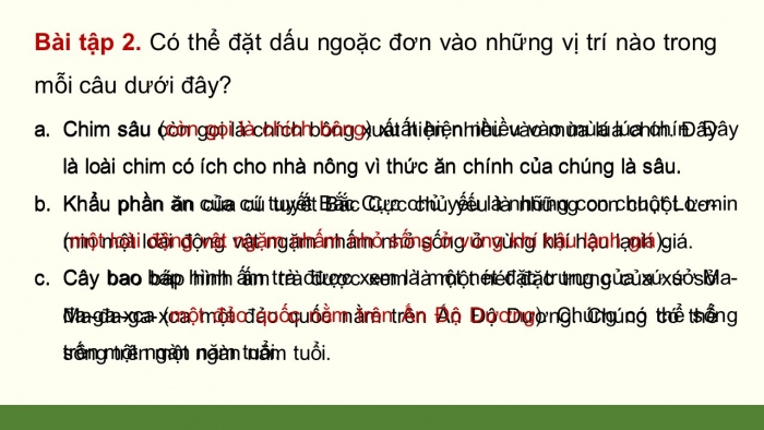Giáo án điện tử Tiếng Việt 4 chân trời CĐ 7 Bài 3 Luyện từ và câu: Dấu ngoặc đơn
