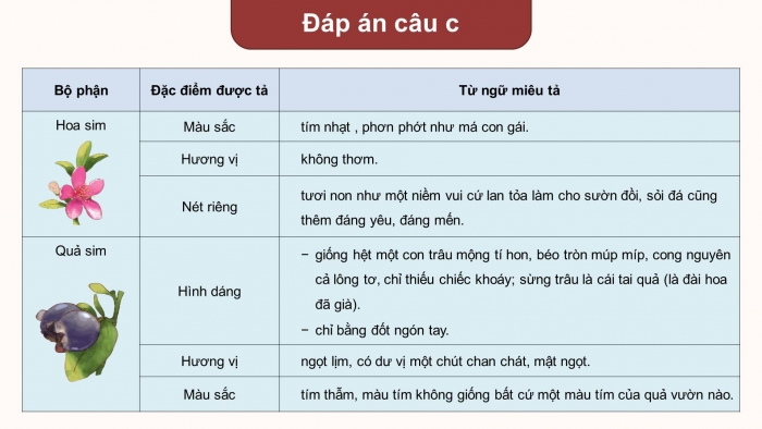 Giáo án điện tử Tiếng Việt 4 kết nối Bài 17 Viết: Tìm hiểu cách viết bài văn miêu tả cây cối